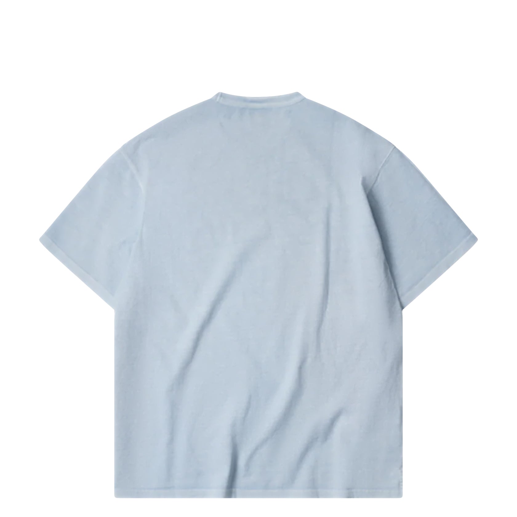 OG Pygment Dyeing Half Tee Ice