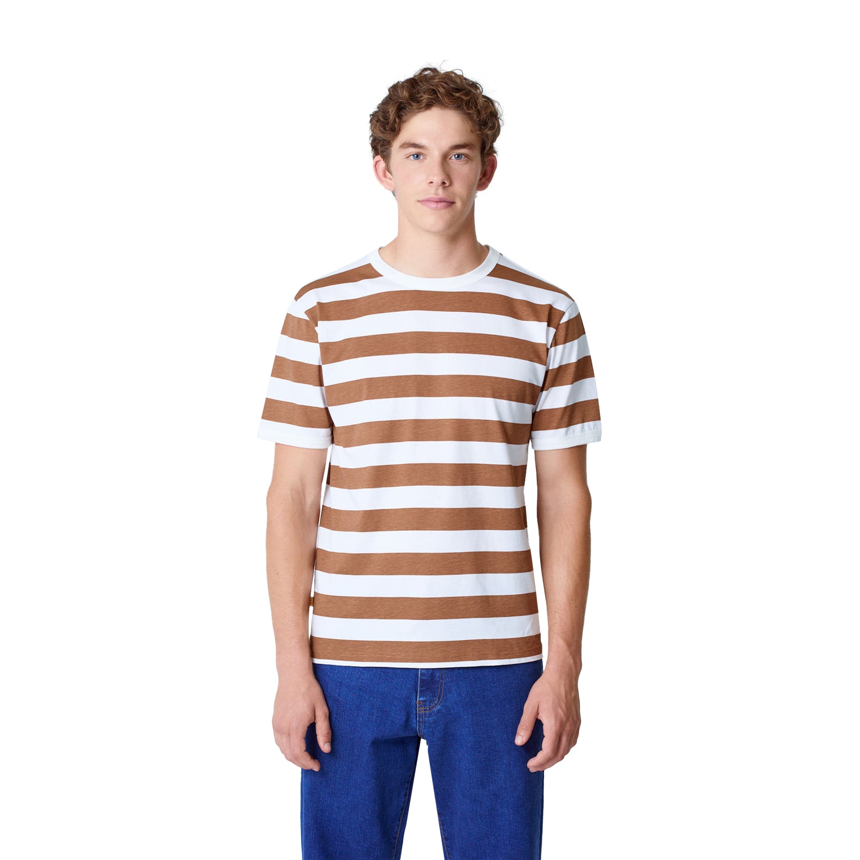 Meneres Aztec Brown Stripes